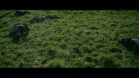 0045
